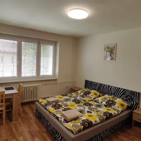Pro 5-6 Osob, M1 Apartment